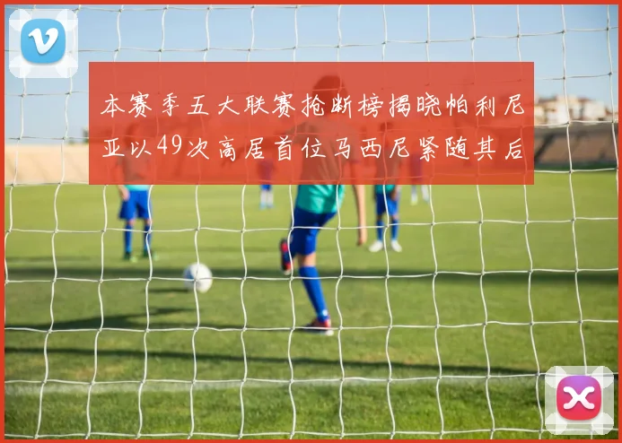 本赛季五大联赛抢断榜揭晓帕利尼亚以49次高居首位马西尼紧随其后