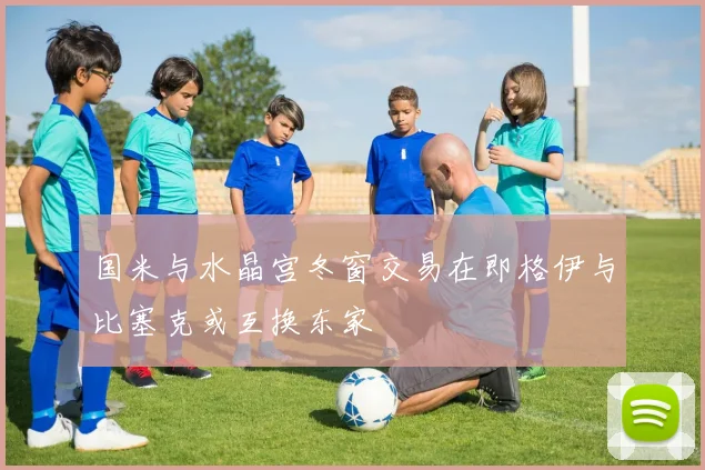 国米与水晶宫冬窗交易在即格伊与比塞克或互换东家