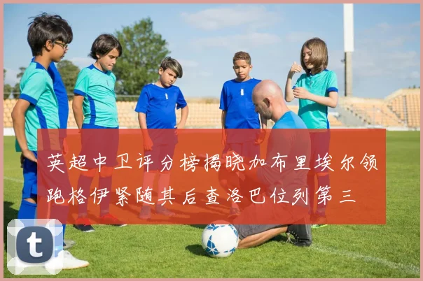英超中卫评分榜揭晓加布里埃尔领跑格伊紧随其后查洛巴位列第三