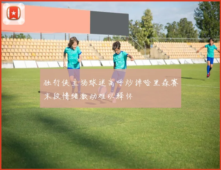 独行侠主场球迷高呼炒掉哈里森赛末段情绪激动难以释怀